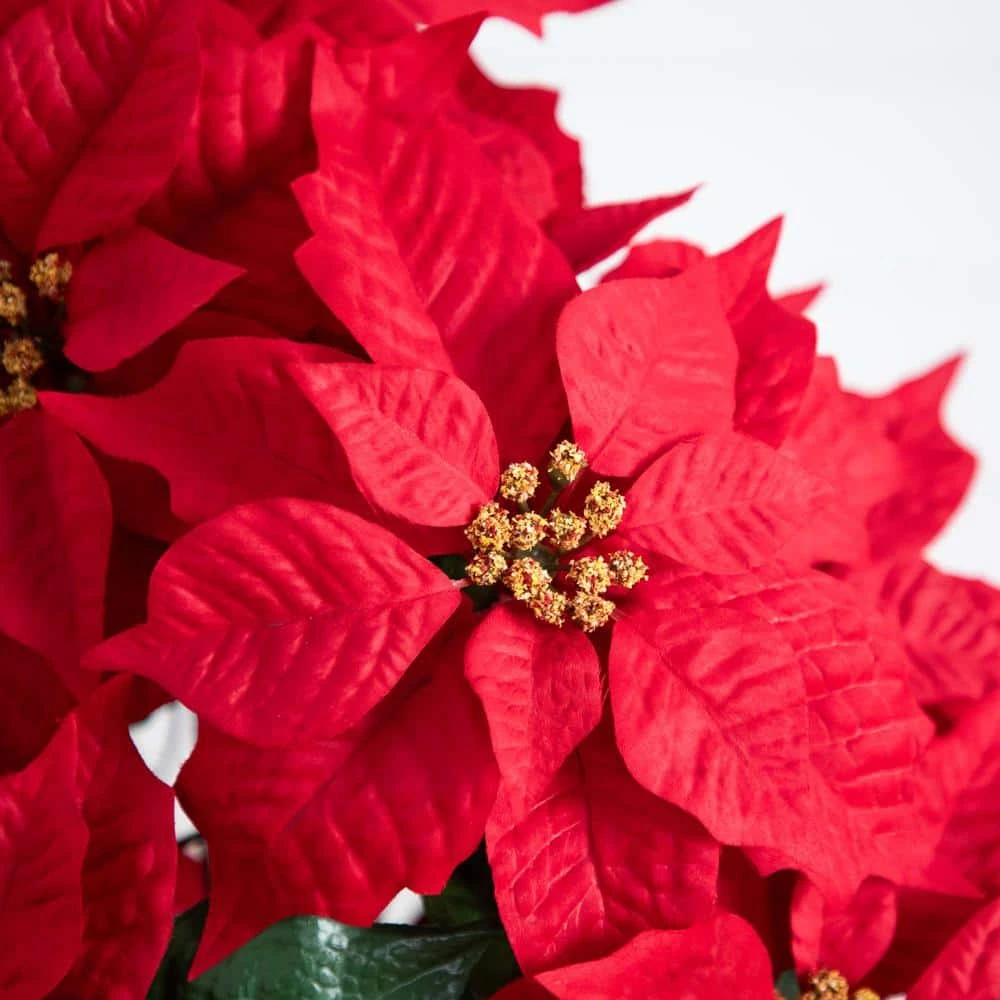 19 In. Red Lush Poinsettia Artificial Arrangement In Red Wrapped Planter 4 19 In. Red Lush Poinsettia Artificial Arrangement In Red Wrapped Planter - Image 2