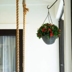 24 In. Pre-Lit UV Resistant Faux Red Tip Photinia & Gold Berries Christmas Hanging Basket With 34-Warm White LED Lights 19 24 In. Pre-Lit UV Resistant Faux Red Tip Photinia & Gold Berries Christmas Hanging Basket With 34-Warm White LED Lights -Christmas Gift Shop nearly natural artificial christmas plants p2207 31 1000