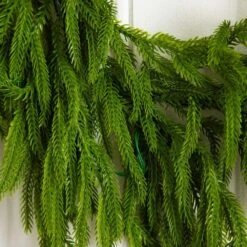 6 Ft. Pre-Lit Artificial Real Touch Norfolk Island Pine Garland With 35-Warm White LED Lights And Natural Look -Christmas Gift Shop nearly natural christmas garland w1393 1f 1000