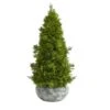 18 In. Cypress Cone Artificial Tree In Decorative Planter -Christmas Gift Shop nearly natural christmas tabletop trees t1513 64 1000