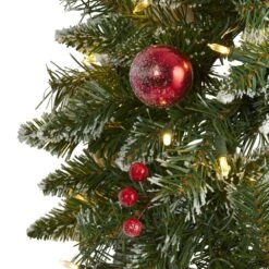 24 In. Pre-Lit Frosted Artificial Christmas Wreath With 50 Warm White LED Lights Ornaments And Berries -Christmas Gift Shop nearly natural christmas wreaths 4455 4f 1000