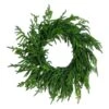 24 In. Artificial Real Touch Norfolk Island Pine Wreath With Natural Look 1 24 In. Artificial Real Touch Norfolk Island Pine Wreath With Natural Look -Christmas Gift Shop nearly natural christmas wreaths w1396 64 1000
