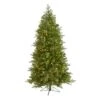 6 Ft. Pre-Lit Vienna Fir Artificial Christmas Tree With 400 Warm White Lights -Christmas Gift Shop nearly natural pre lit christmas trees t1485 64 1000