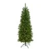 6 Ft. Pre-Lit Slim Green Mountain Pine Artificial Christmas Tree With 250 Clear LED Lights -Christmas Gift Shop nearly natural pre lit christmas trees t1600 64 1000