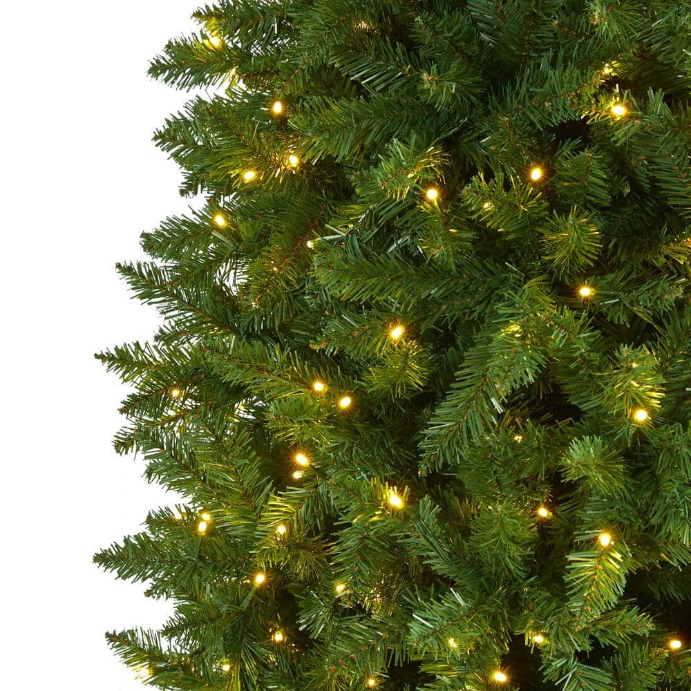 10 Ft. Pre-Lit Slim Green Mountain Pine Artificial Christmas Tree With 800 Clear LED Lights 6 10 Ft. Pre-Lit Slim Green Mountain Pine Artificial Christmas Tree With 800 Clear LED Lights - Image 4