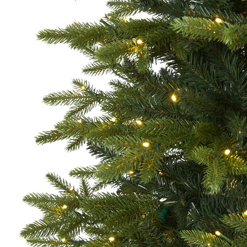 8 Ft. Pre-Lit Belgium Fir Natural Look Artificial Christmas Tree With 650 Clear LED Lights 5 8 Ft. Pre-Lit Belgium Fir Natural Look Artificial Christmas Tree With 650 Clear LED Lights - Image 3