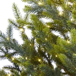 5 Ft. Pre-Lit Fraser Fir Natural Look Artificial Christmas Tree With 200 Clear LED Lights In A Burlap Base -Christmas Gift Shop nearly natural pre lit christmas trees t1865 44 1000