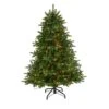 5 Ft. South Carolina Spruce Artificial Christmas Tree With 300 White Warm Lights And 1370 Bendable Branches -Christmas Gift Shop nearly natural pre lit christmas trees t1880 64 1000