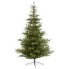 9 Ft. Pre-Lit Layered Washington Spruce Artificial Christmas Tree With 750 Clear Lights