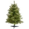 3 Ft. Pre-Lit Snowed Grand Teton Fir Artificial Christmas Tree With 50 Clear Lights -Christmas Gift Shop nearly natural pre lit christmas trees t1966 64 1000