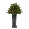 4 Ft. Holiday Artificial Christmas Plant Pre-Lit And Glittered On Pedestal With 150 Multicolored LED Lights 1 4 Ft. Holiday Artificial Christmas Plant Pre-Lit And Glittered On Pedestal With 150 Multicolored LED Lights -Christmas Gift Shop nearly natural pre lit christmas trees t3284 64 1000