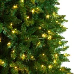 11 Ft. Green Pre-Lit LED Slim Mountain Pine Artificial Christmas Tree With 950 Clear Lights 19 11 Ft. Green Pre-Lit LED Slim Mountain Pine Artificial Christmas Tree With 950 Clear Lights -Christmas Gift Shop nearly natural pre lit christmas trees t3329 1f 1000