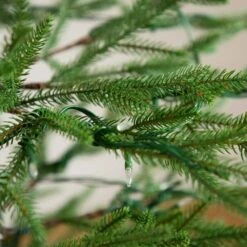 6 Ft. Pre-Lit Faux Natural Fresh Cut Fir Xmas Tree W/Instant Connect Technology & 230 Color Changing LED Dewdrop Lights 21 6 Ft. Pre-Lit Faux Natural Fresh Cut Fir Xmas Tree W/Instant Connect Technology & 230 Color Changing LED Dewdrop Lights -Christmas Gift Shop nearly natural pre lit christmas trees t4801 66 1000