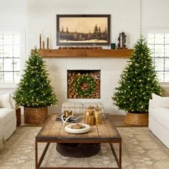 7 Ft. Pre-Lit Artificial Luxembourg Pine Christmas Tree With 340-Multicolored Traditional Bulb LED Lights 20 7 Ft. Pre-Lit Artificial Luxembourg Pine Christmas Tree With 340-Multicolored Traditional Bulb LED Lights -Christmas Gift Shop nearly natural pre lit christmas trees t5247 77 1000