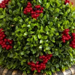 3 Ft. Pre-Lit Artificial Christmas Ornament Boxwood Topiary Tree With 70-Warm White LED Lights -Christmas Gift Shop nearly natural pre lit christmas trees t5381 44 1000