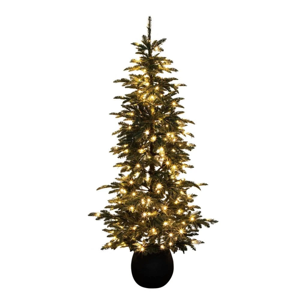 6 Ft. Pre-Lit Artificial Pine Christmas Tree In Round Black Decorative Planter With 60-Warm White LED Lights 6 6 Ft. Pre-Lit Artificial Pine Christmas Tree In Round Black Decorative Planter With 60-Warm White LED Lights - Image 4