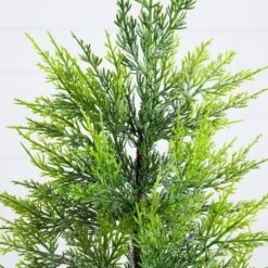 32in. Pre-Lit Artificial Lightly Snowed Cypress Christmas Tree With 30-Warm White LED Lights In Decorative Weaved Basket -Christmas Gift Shop nearly natural pre lit christmas trees t5422 44 1000