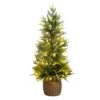 3 Ft. Pre-Lit Artificial Lightly Snowed Cypress Christmas Tree With 38-Warm White LED Lights In Decorative Weaved Basket 1 3 Ft. Pre-Lit Artificial Lightly Snowed Cypress Christmas Tree With 38-Warm White LED Lights In Decorative Weaved Basket -Christmas Gift Shop nearly natural pre lit christmas trees t5423 64 1000