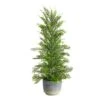 2.25 Ft. Unlit Californian Cedar Artificial Christmas Tree In Decorative Planter 1 2.25 Ft. Unlit Californian Cedar Artificial Christmas Tree In Decorative Planter -Christmas Gift Shop nearly natural unlit christmas trees t3377 64 1000