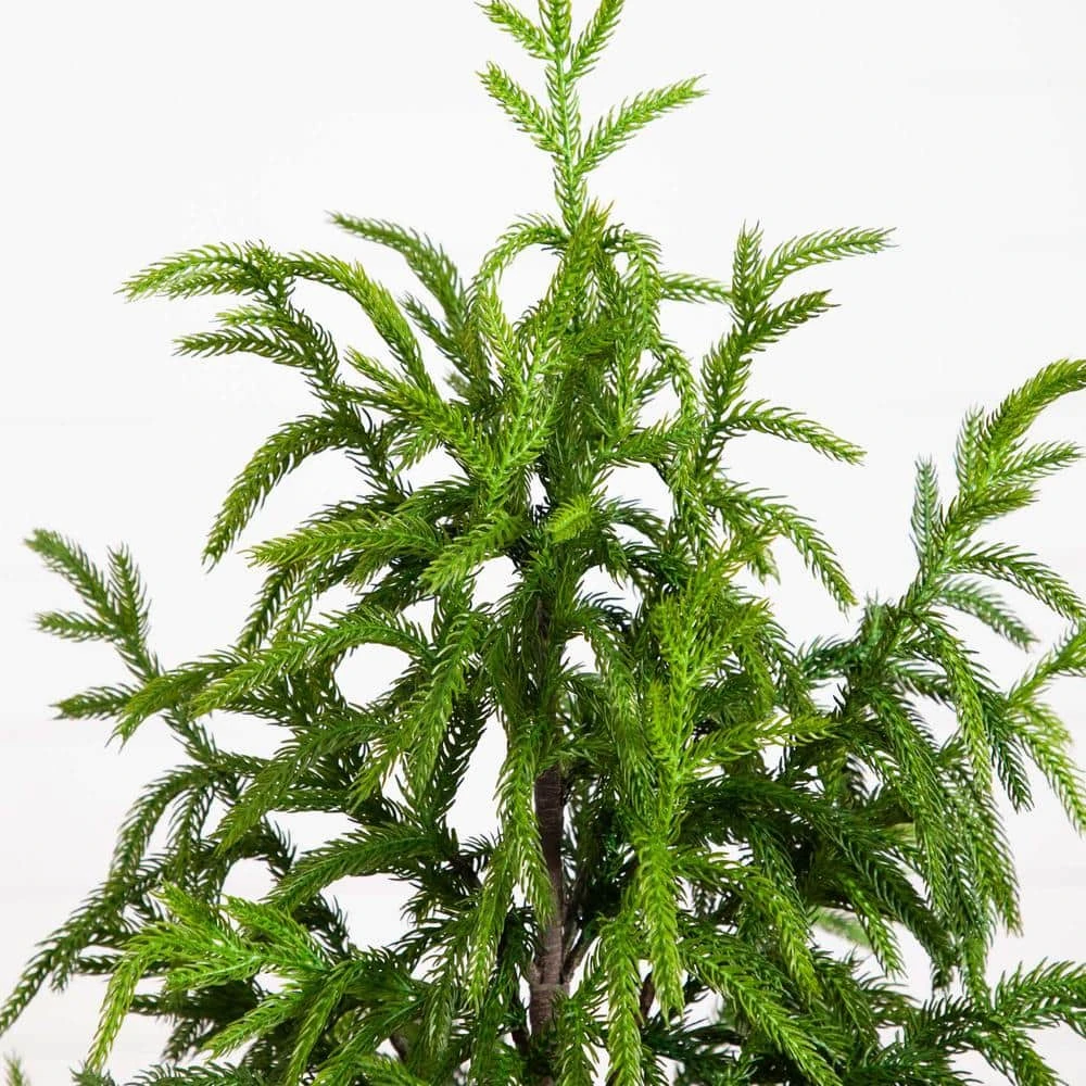 4 Ft. Artificial Norfolk Pine Christmas Tree 8 4 Ft. Artificial Norfolk Pine Christmas Tree - Image 6