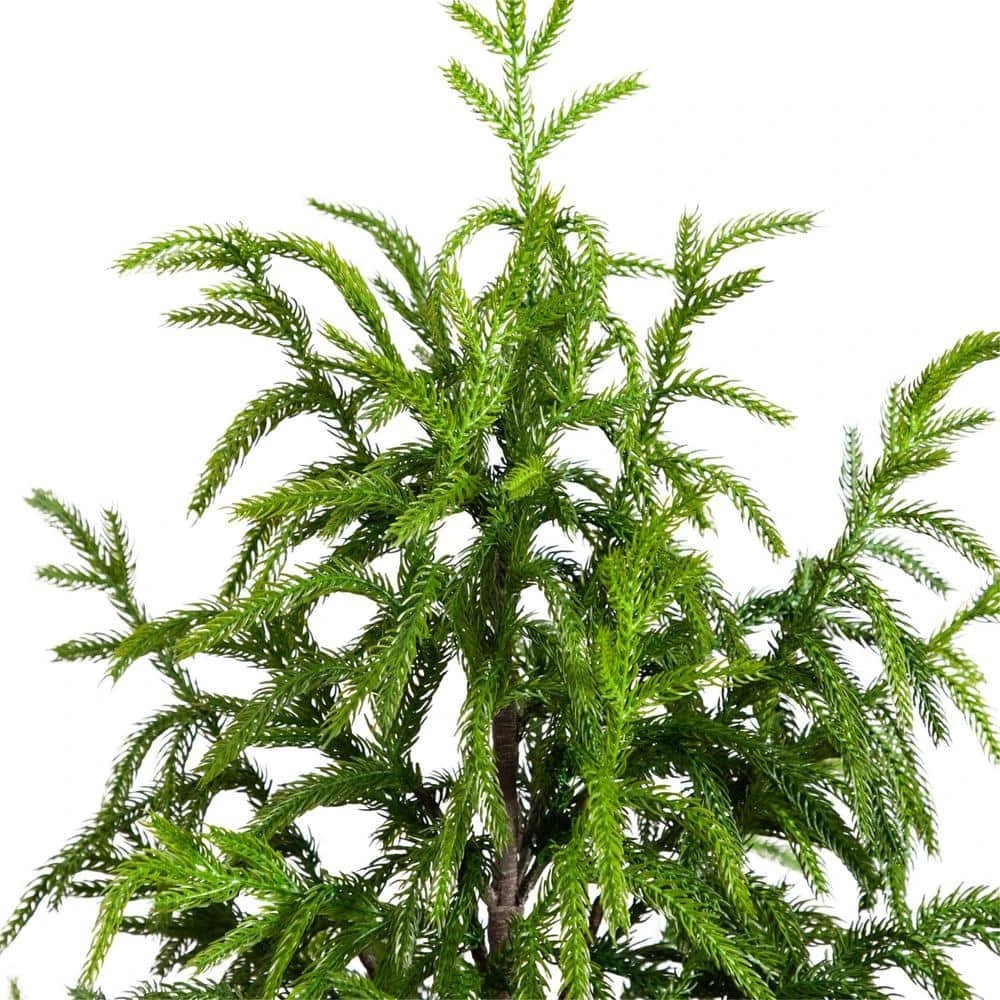 4 Ft. Artificial Norfolk Pine Christmas Tree 7 4 Ft. Artificial Norfolk Pine Christmas Tree - Image 5
