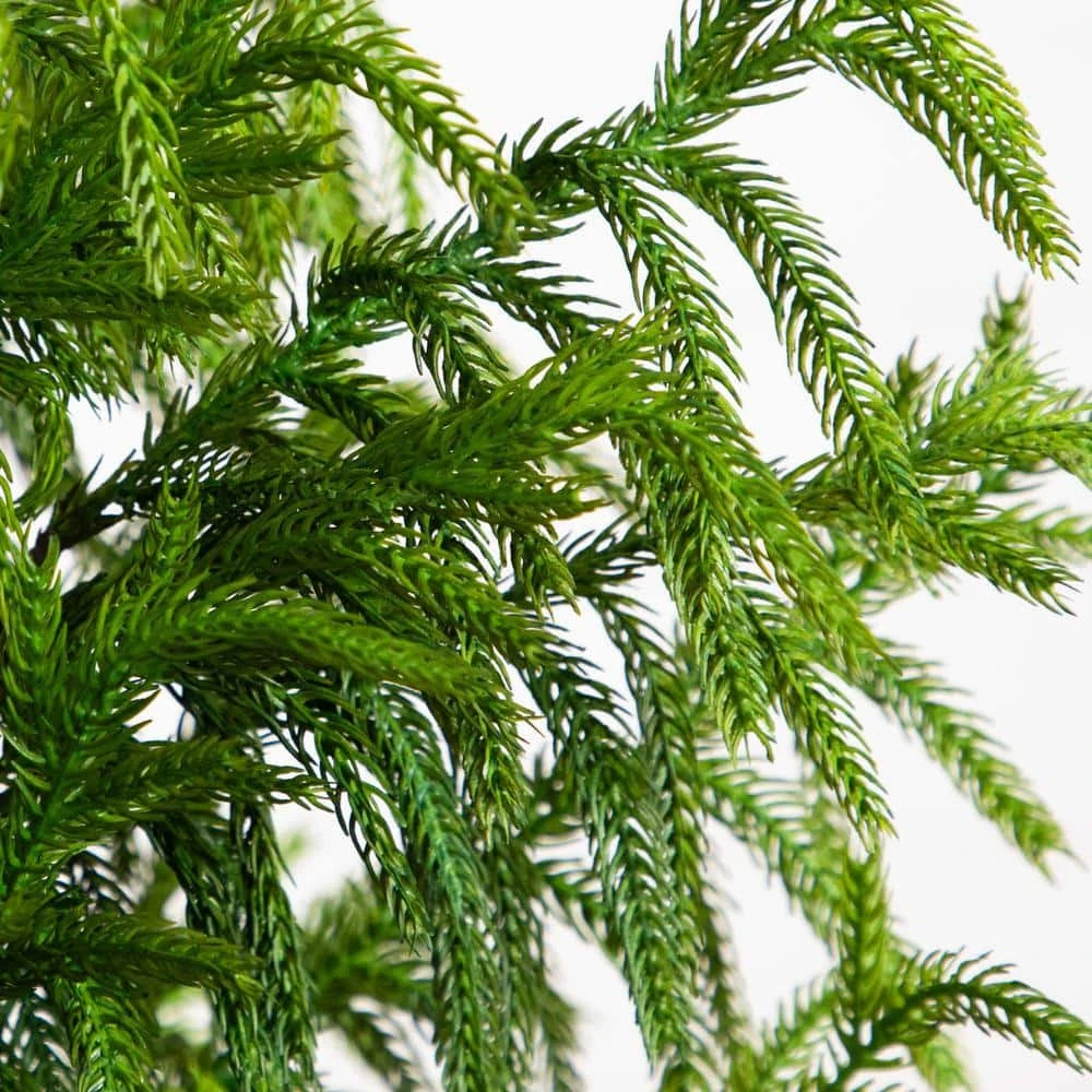 5 Ft. Artificial Norfolk Pine Christmas Tree 6 5 Ft. Artificial Norfolk Pine Christmas Tree - Image 4