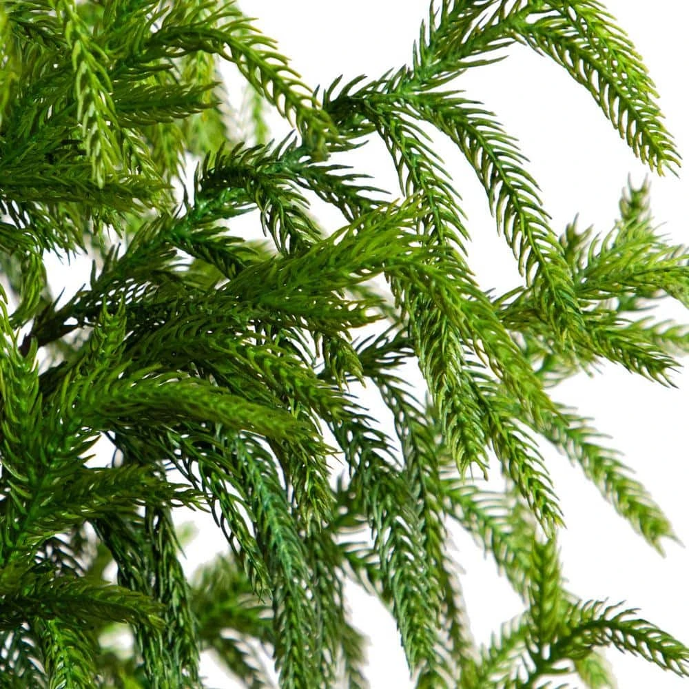 5 Ft. Artificial Norfolk Pine Christmas Tree 5 5 Ft. Artificial Norfolk Pine Christmas Tree - Image 3