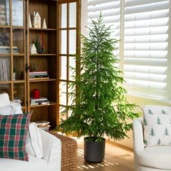 6 Ft. Artificial Real Touch Norfolk Island Pine Christmas Tree With Natural Look 15 6 Ft. Artificial Real Touch Norfolk Island Pine Christmas Tree With Natural Look -Christmas Gift Shop nearly natural unlit christmas trees t5369 31 1000