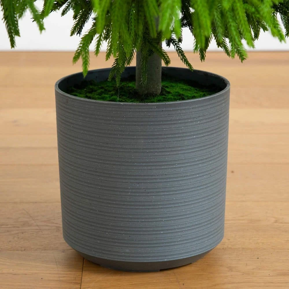 6 Ft. Artificial Real Touch Norfolk Island Pine Christmas Tree With Natural Look 7 6 Ft. Artificial Real Touch Norfolk Island Pine Christmas Tree With Natural Look - Image 5