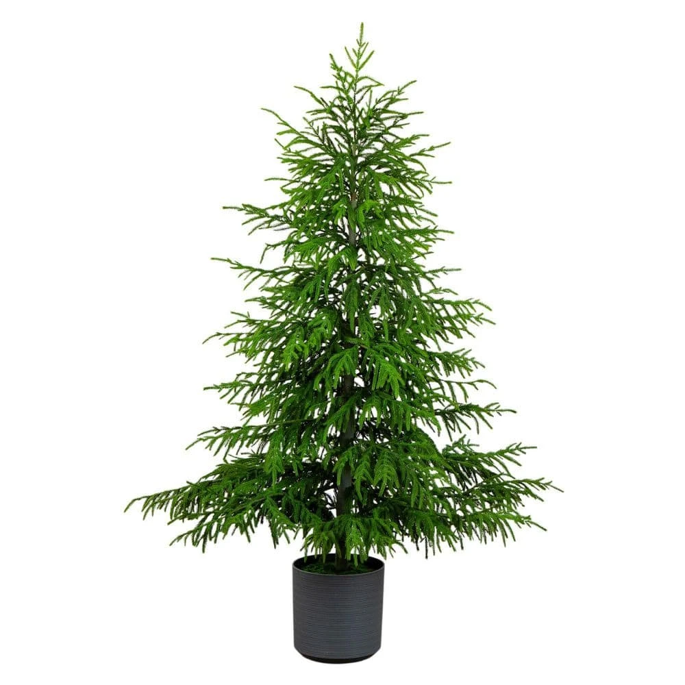 6 Ft. Artificial Real Touch Norfolk Island Pine Christmas Tree With Natural Look 3 6 Ft. Artificial Real Touch Norfolk Island Pine Christmas Tree With Natural Look