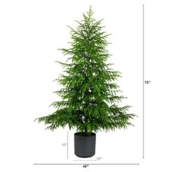 6 Ft. Artificial Real Touch Norfolk Island Pine Christmas Tree With Natural Look 10 6 Ft. Artificial Real Touch Norfolk Island Pine Christmas Tree With Natural Look -Christmas Gift Shop nearly natural unlit christmas trees t5369 c3 1000