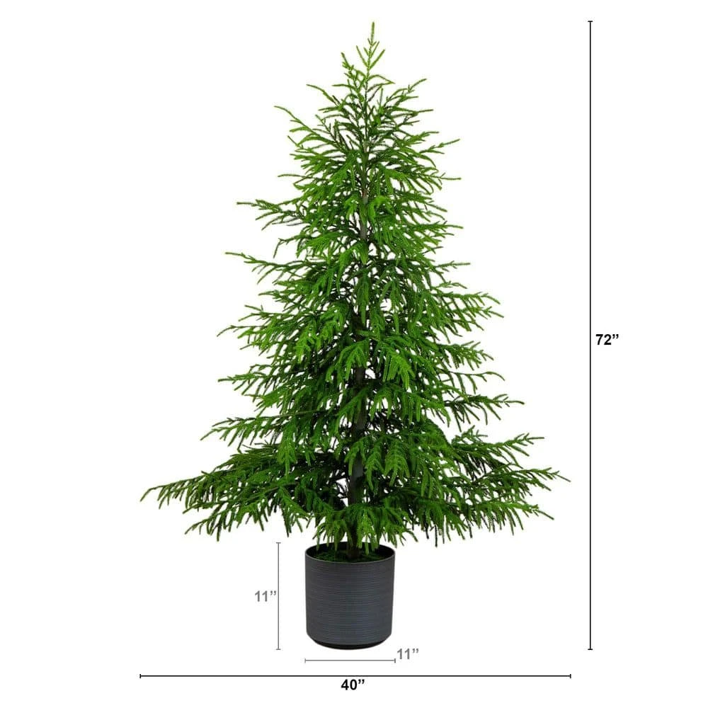 6 Ft. Artificial Real Touch Norfolk Island Pine Christmas Tree With Natural Look 4 6 Ft. Artificial Real Touch Norfolk Island Pine Christmas Tree With Natural Look - Image 2