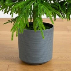 7 Ft. Artificial Real Touch Norfolk Island Pine Christmas Tree With Natural Look -Christmas Gift Shop nearly natural unlit christmas trees t5371 44 1000