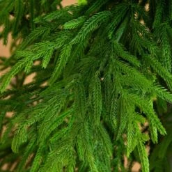 7 Ft. Artificial Real Touch Norfolk Island Pine Christmas Tree With Natural Look -Christmas Gift Shop nearly natural unlit christmas trees t5371 4f 1000