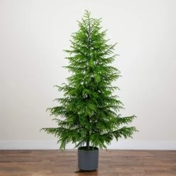 7 Ft. Artificial Real Touch Norfolk Island Pine Christmas Tree With Natural Look -Christmas Gift Shop nearly natural unlit christmas trees t5371 fa 1000