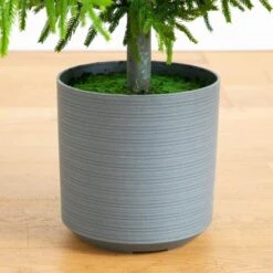 8 Ft. Artificial Real Touch Norfolk Island Pine Christmas Tree With Natural Look -Christmas Gift Shop nearly natural unlit christmas trees t5372 1f 1000