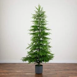 8 Ft. Artificial Real Touch Norfolk Island Pine Christmas Tree With Natural Look -Christmas Gift Shop nearly natural unlit christmas trees t5372 44 1000