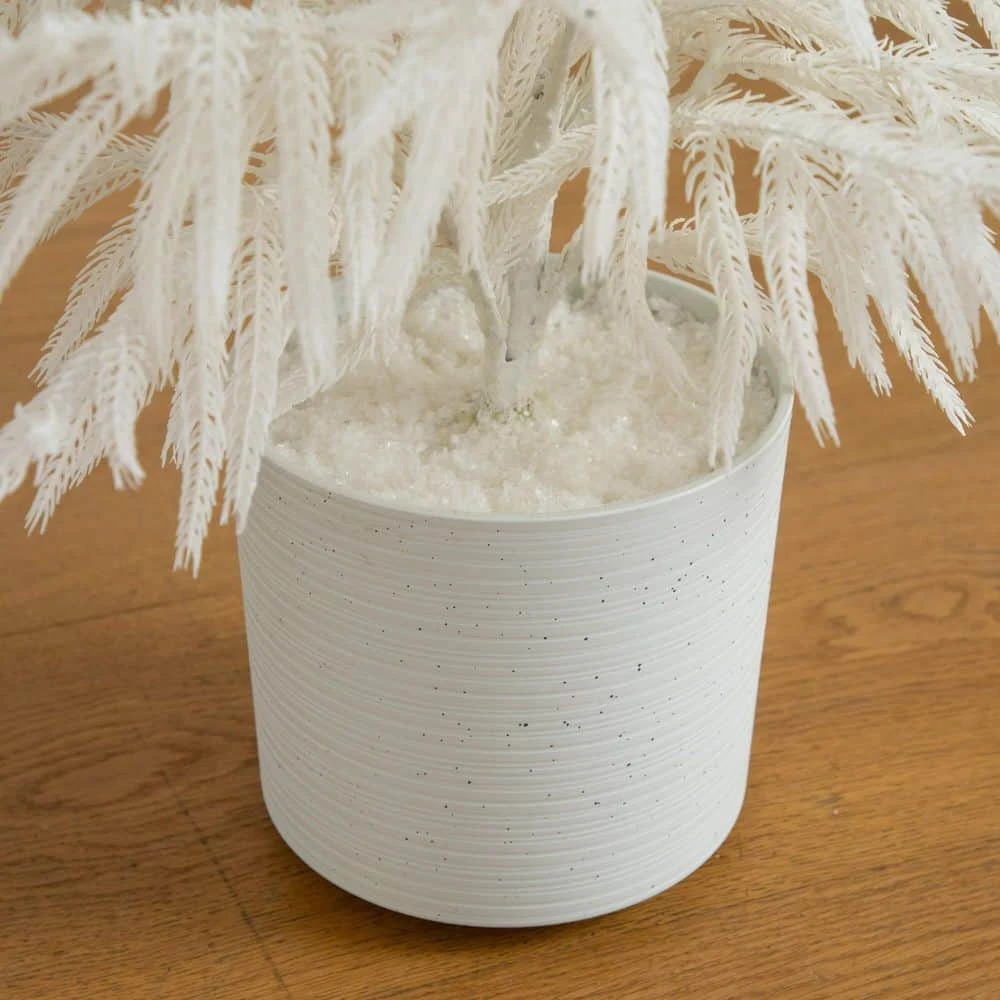 3 Ft. Artificial Real Touch White Norfolk Island Pine Christmas Tree With Natural Look 6 3 Ft. Artificial Real Touch White Norfolk Island Pine Christmas Tree With Natural Look - Image 4