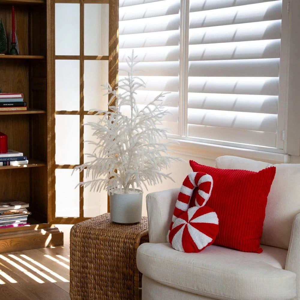 3 Ft. Artificial Real Touch White Norfolk Island Pine Christmas Tree With Natural Look 9 3 Ft. Artificial Real Touch White Norfolk Island Pine Christmas Tree With Natural Look - Image 7