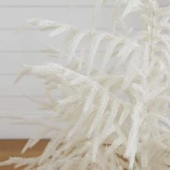 3 Ft. Artificial Real Touch White Norfolk Island Pine Christmas Tree With Natural Look 11 3 Ft. Artificial Real Touch White Norfolk Island Pine Christmas Tree With Natural Look -Christmas Gift Shop nearly natural unlit christmas trees t5373 4f 1000
