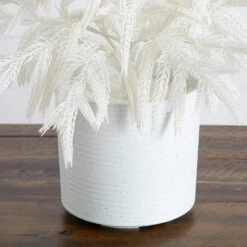 2 Ft. Artificial Real Touch White Norfolk Island Pine Christmas Tree With Natural Look 11 2 Ft. Artificial Real Touch White Norfolk Island Pine Christmas Tree With Natural Look -Christmas Gift Shop nearly natural unlit christmas trees t5376 1f 1000