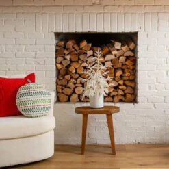 2 Ft. Artificial Real Touch White Norfolk Island Pine Christmas Tree With Natural Look 13 2 Ft. Artificial Real Touch White Norfolk Island Pine Christmas Tree With Natural Look -Christmas Gift Shop nearly natural unlit christmas trees t5376 31 1000