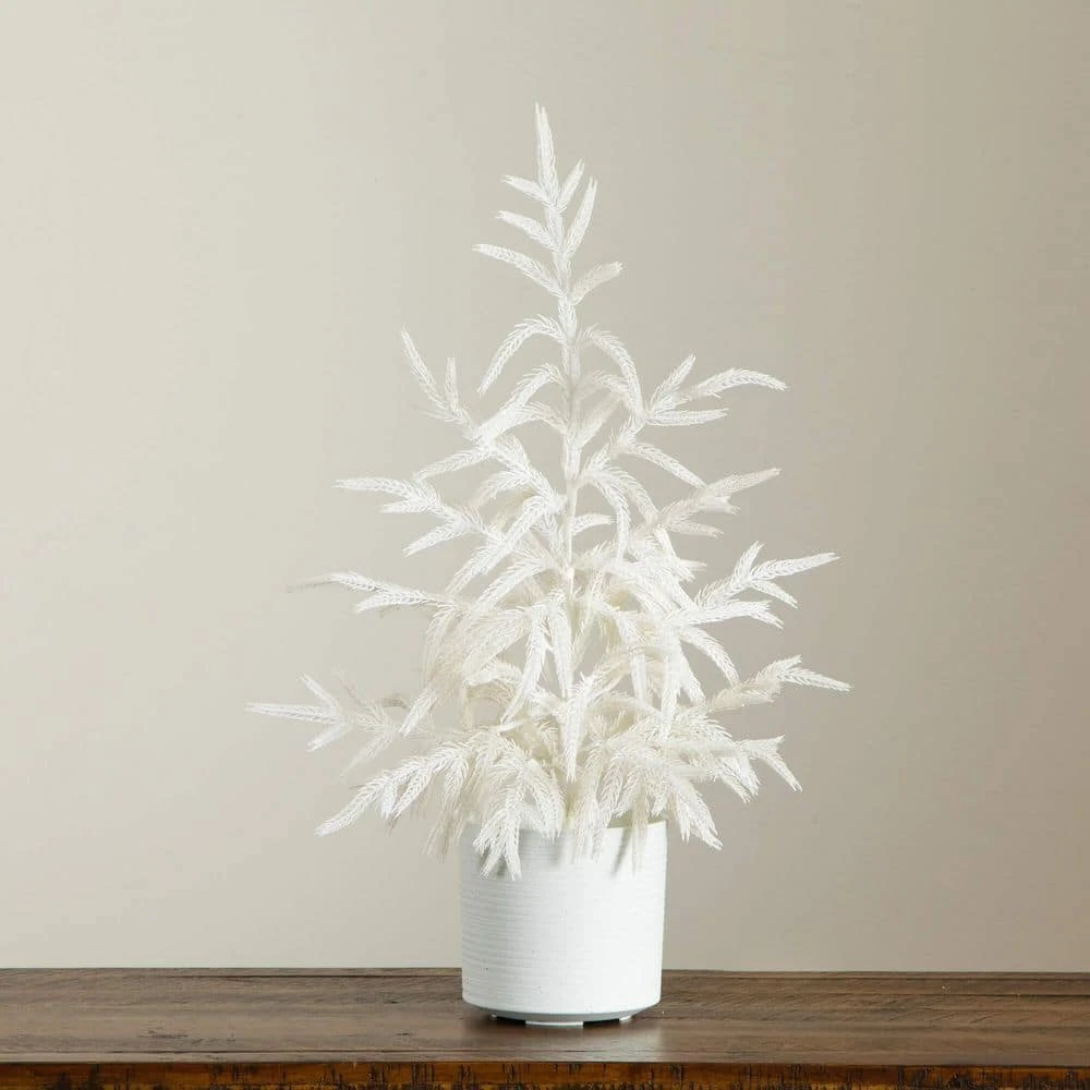 2 Ft. Artificial Real Touch White Norfolk Island Pine Christmas Tree With Natural Look 7 2 Ft. Artificial Real Touch White Norfolk Island Pine Christmas Tree With Natural Look - Image 5