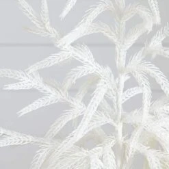 2 Ft. Artificial Real Touch White Norfolk Island Pine Christmas Tree With Natural Look 10 2 Ft. Artificial Real Touch White Norfolk Island Pine Christmas Tree With Natural Look -Christmas Gift Shop nearly natural unlit christmas trees t5376 4f 1000