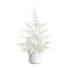 2 Ft. Artificial Real Touch White Norfolk Island Pine Christmas Tree With Natural Look -Christmas Gift Shop nearly natural unlit christmas trees t5376 64 1000