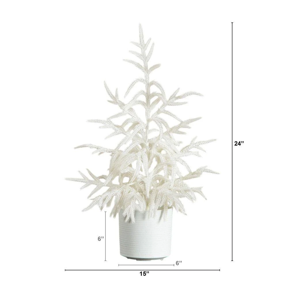 2 Ft. Artificial Real Touch White Norfolk Island Pine Christmas Tree With Natural Look 4 2 Ft. Artificial Real Touch White Norfolk Island Pine Christmas Tree With Natural Look - Image 2