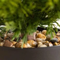 3 Ft. Artificial Cypress Topiary Christmas Tree 11 3 Ft. Artificial Cypress Topiary Christmas Tree -Christmas Gift Shop nearly natural unlit christmas trees t5380 1f 1000