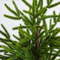 22 In. Artificial Real Touch Norfolk Island Pine In White Decorative Planter With Natural Look 12 22 In. Artificial Real Touch Norfolk Island Pine In White Decorative Planter With Natural Look -Christmas Gift Shop nearly natural unlit christmas trees t5383 1f 1000