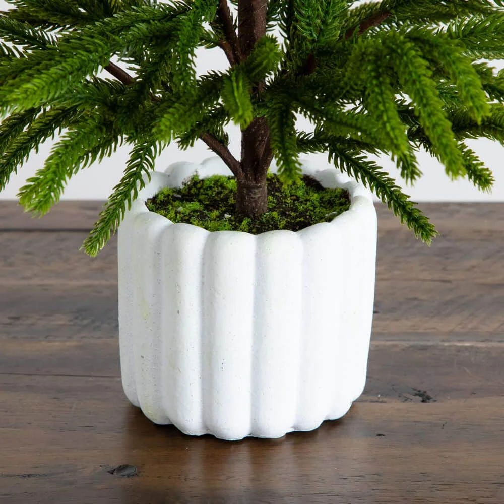 22 In. Artificial Real Touch Norfolk Island Pine In White Decorative Planter With Natural Look 7 22 In. Artificial Real Touch Norfolk Island Pine In White Decorative Planter With Natural Look - Image 5