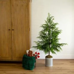 5 Ft. Artificial Real Touch Norfolk Island Pine In Metal Tin Planter With Natural Look 13 5 Ft. Artificial Real Touch Norfolk Island Pine In Metal Tin Planter With Natural Look -Christmas Gift Shop nearly natural unlit christmas trees t5385 31 1000